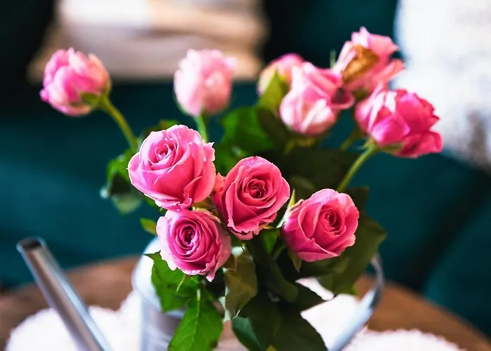 Inda Appartement Eger